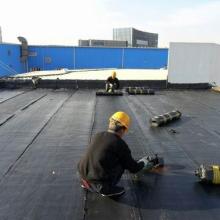 家庭管道疏通指南 從日常維護(hù)到專(zhuān)業(yè)解決